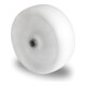 CASCOO Rad ø 100 mm Serie N0N0 Gleitlager