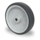 CASCOO Rad Serie P2T2 Gleitlager Edelstahl-1
