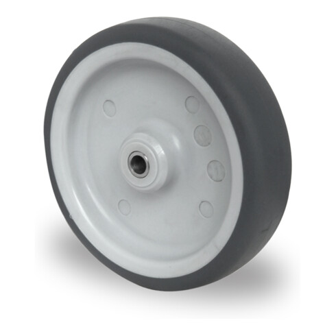 CASCOO Rad Serie P2T2 Gleitlager Edelstahl