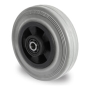 CASCOO Rad Serie P4R2 Rollenlager-3