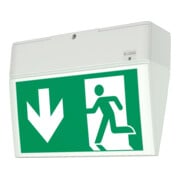 Ceag Lampe LED batterie unique 3h IP54 EURO X-1