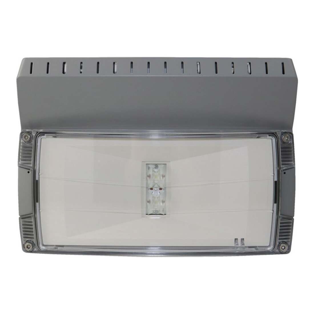 Ceag Notlichtsysteme LED-Einzelbatterie-Leuchte m.autom. Funkt.test OutdoorWall CGLine+H