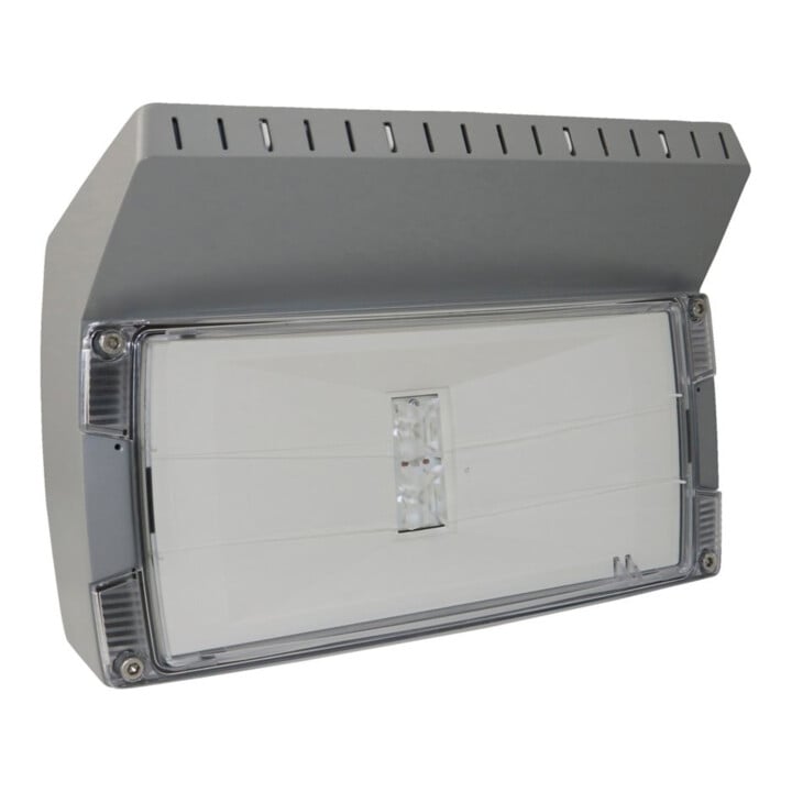 Ceag Notlichtsysteme LED-Einzelbatterie-Leuchte m.autom. Funkt.test OutdoorWall CGLine+H