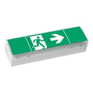 Ceag Notlichtsysteme LED-Einzelbatterie-Leuchte m.Prüftaster SV EURO4L LED 3h SET