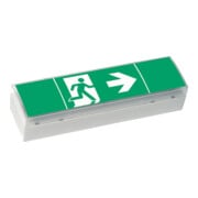 Ceag Notlichtsysteme LED-Einzelbatterie-Leuchte m.Prüftaster SV EURO4L LED 3h SET-1