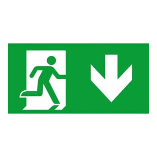 Ceag Notlichtsysteme Pictogramme for Atlantic S flèche vers le bas 155-000-013