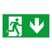 Ceag Notlichtsysteme Pictogramme for Atlantic S flèche vers le bas 155-000-013-1