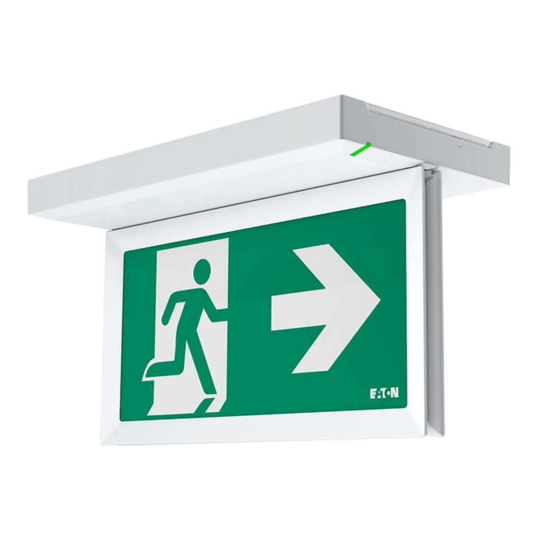 Ceag Notlichtsysteme Rettungszeichenleuchte 20m AT L, 1-8H FT2ED4IATL18