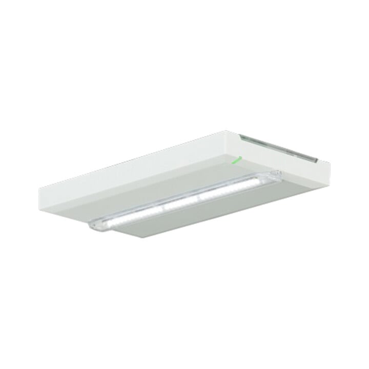 Ceag Notlichtsysteme Rettungszeichenleuchte 400lm AT L, 1-8H FT2SE400ATL18