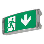 Ceag Notlichtsysteme Rettungszeichenleuchte o.Einlegepiktogramm LED S CG-S-3