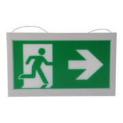 Ceag Piktogramme double face LED PL/PR 40071354510-2