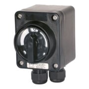 Ceag Sicherheitst. Sicherheitsschalter 10A 3pol GHG 261 0005 R0009-3