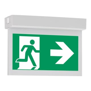 Ceag Système de lumière de secours LED avec batterie individuelle et test automatique par radio 10821 1-8/D CGLine+