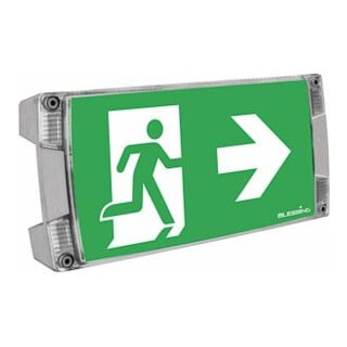 Ceag Système de lumière de secours LED S CG-S sans pictogramme insérable