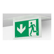 Ceag Système de lumière de secours Signalisation de secours 20m avec autonomie 1-8H FT2ED4IATL18-5