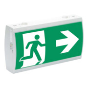 Ceag Système de secours LED Signalisation de secours LED RAL7035 IP41 SV EURO 2-3/D LED-1