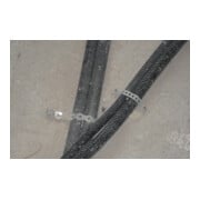 CELO Ruban perforé Cintapolo 12 mm, rouleau-5