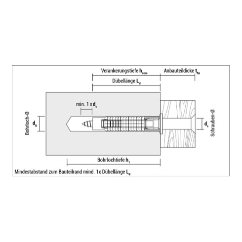 CELO Blister Dübel mit Schraube FX 8 SPS