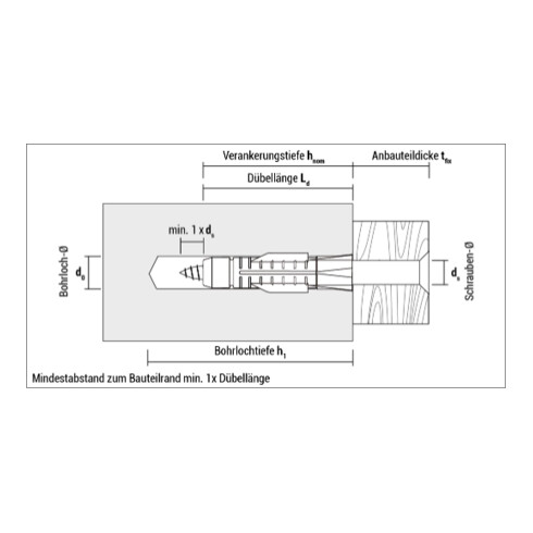 CELO Universele plug AZ