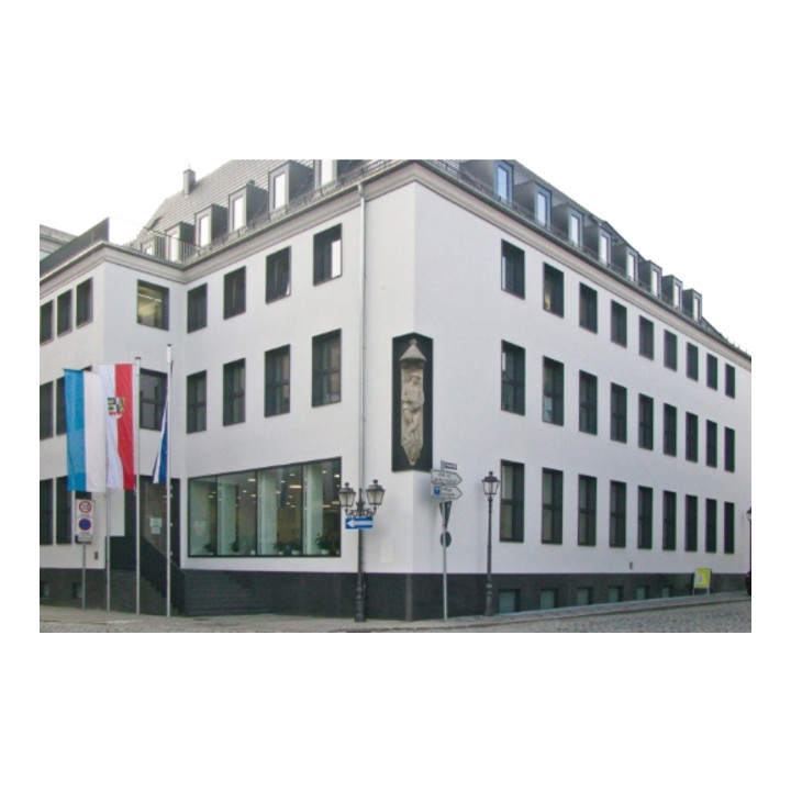 CELO frameanker R 10-115 SSK met zeskantschroef met sluitring, gegalvaniseerd