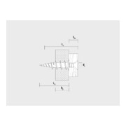 CELO Gipskartondübel Kunststoff mit Schraube GKD PZ 4,0x40-2