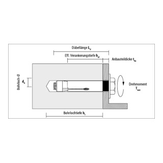 CELO hulsanker Dnbolt DT 20-110/ M16 met zeskantkopschroef, gegalvaniseerd