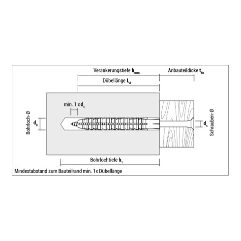 CELO Normaldübel FL Durchmesser 8 mm