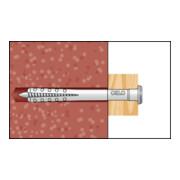 CELO Nageldübel NP 6-40 M6 vormontiert, Schraube mit metrischem Anschlussgewinde-5