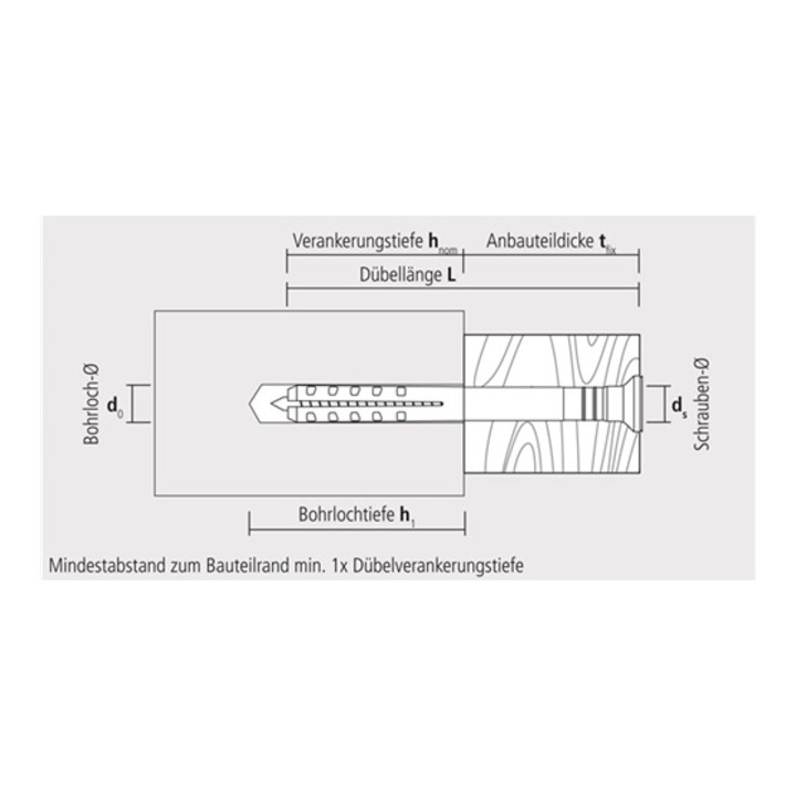 CELO nagelplug NP 8-60 voorgemonteerd, verzonken kraag, gegalvaniseerd