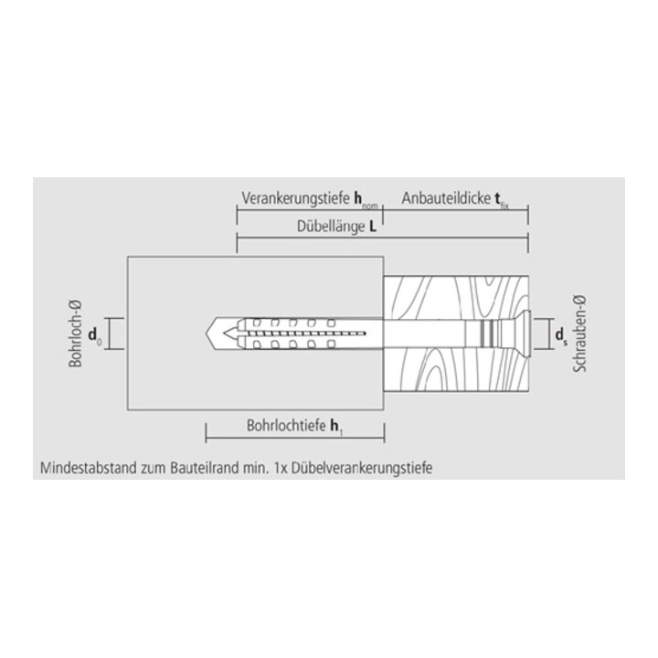 CELO nagelplug NP 8-60 voorgemonteerd, verzonken kraag, gegalvaniseerd