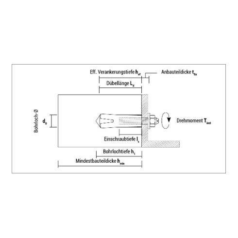 CELO Slaganker SA-N roestvrij staal