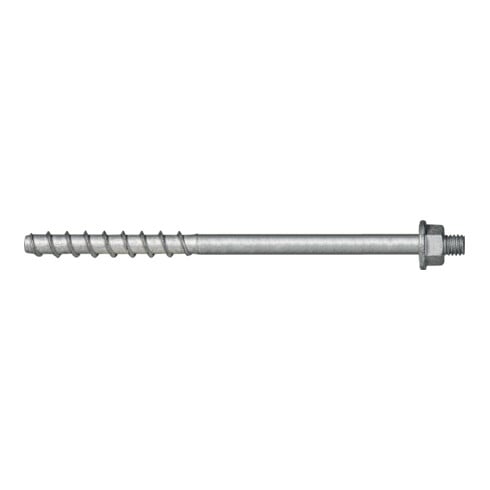 Celo Vis à béton BTS E 6-135 M6, filet mâle, ZnAl