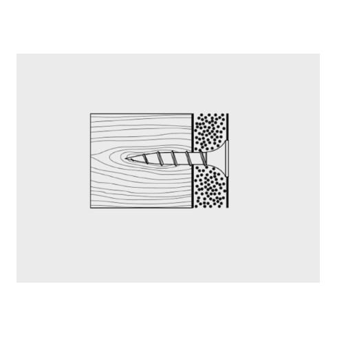 CELO Vite per cartongesso a filettatura grossa SS