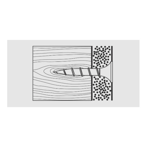 CELO Vite per cartongesso a filettatura grossa SS