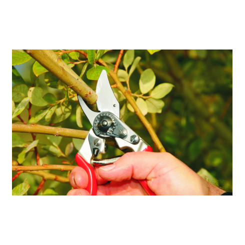 FELCO Cesoie 6, lunghezza complessiva 195mm