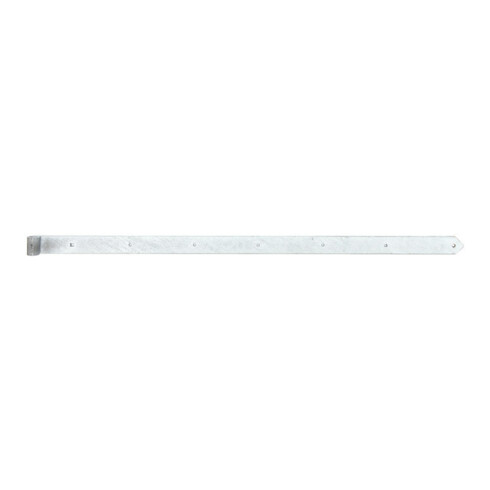 Charnière de magasin B.60mm L.1400x60mm S.8mm D.20mm STA TZN rd GAH