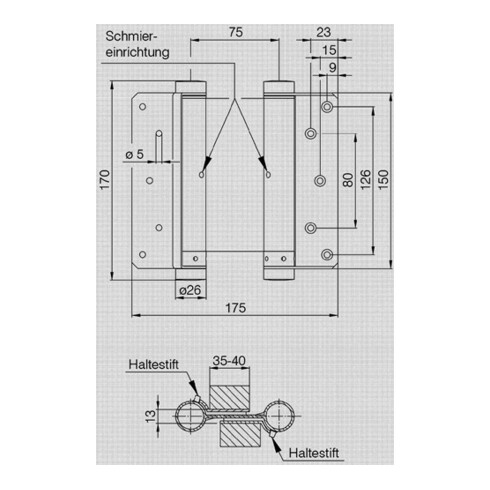 Charnière de porte battante DENI STA galvanisée taille 30 L.100mm 22kg TS 25-30mm