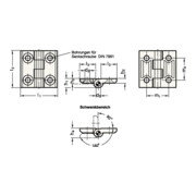 Charnière GN 237 H. 30 mm l. 30 mm épaisseur 2 mm zinc-moulé sous pression avec-4