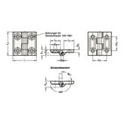 Charnière GN 237 H. 40 mm l. 40 mm épaisseur 2 mm zinc-moulé sous pression-4