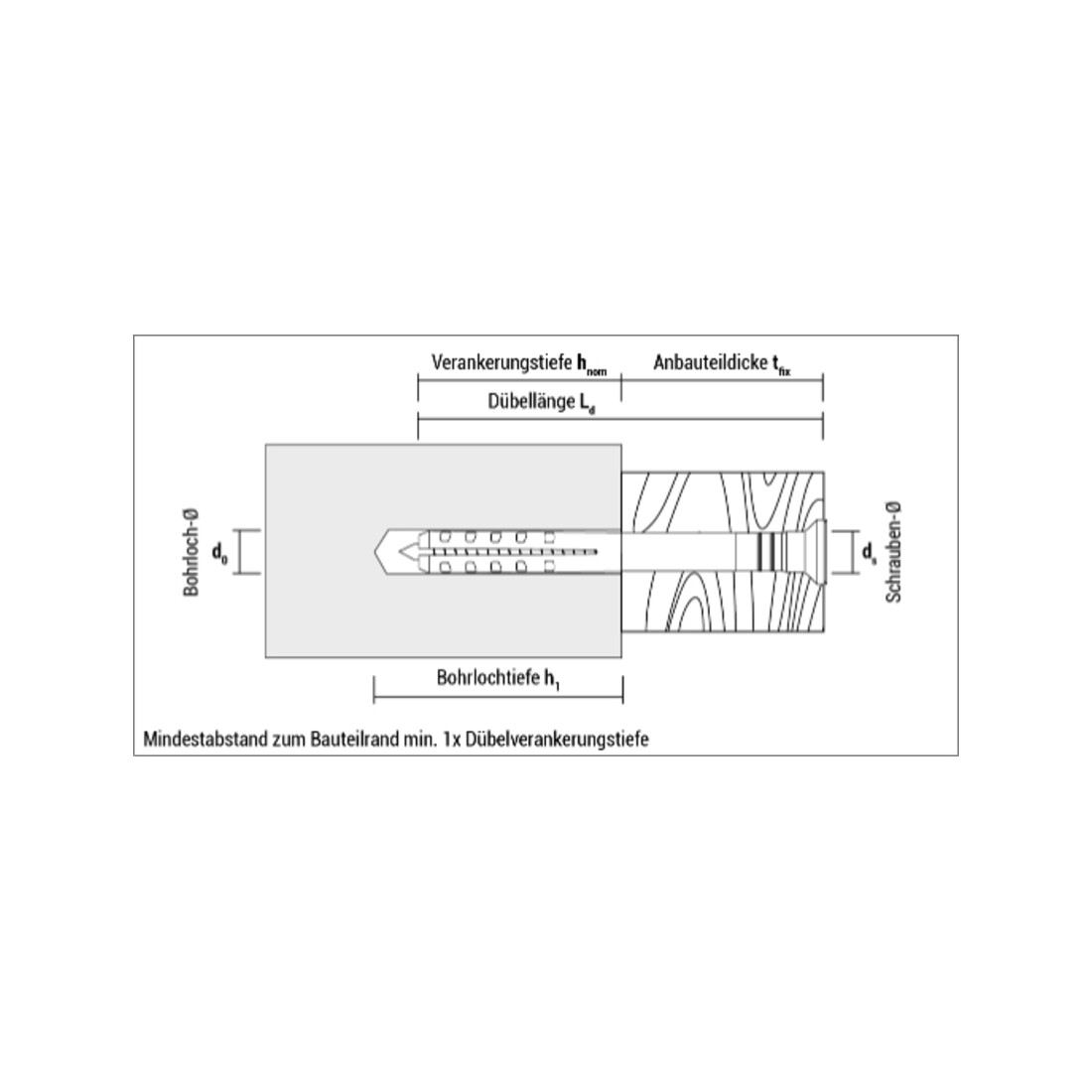 Chevilles à clou CELO NP 6-60 prémontées, à collerette plate, acier inoxydable A2