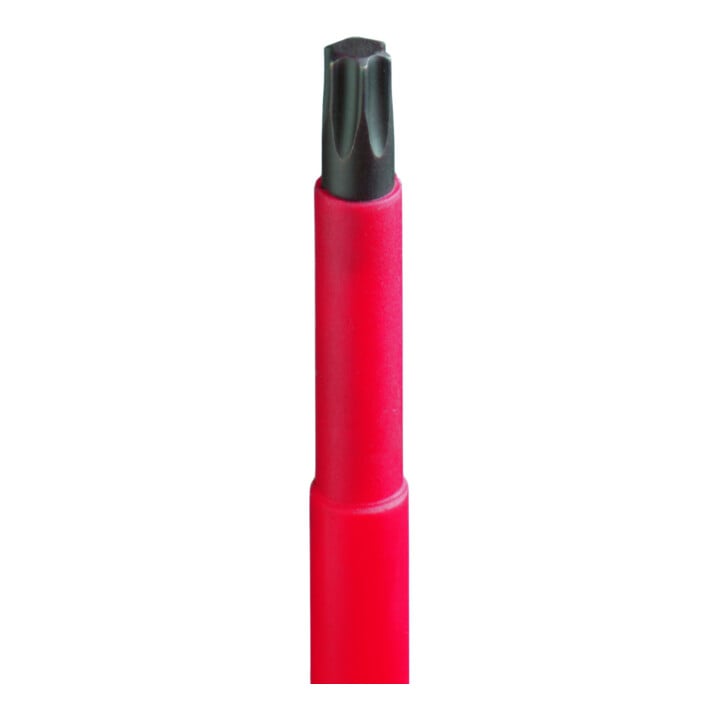 Cimco 2K-VDE-6-rund-Schr.dreher T20 x100 117920