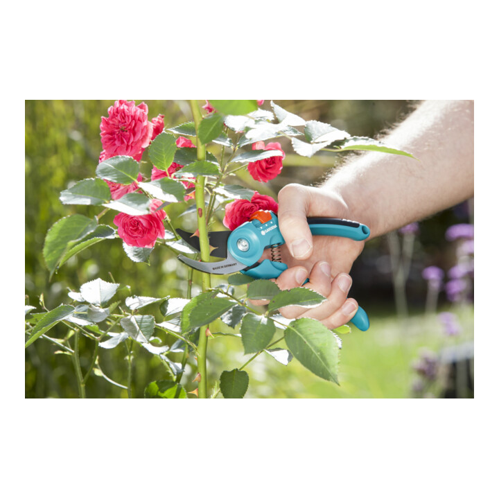 Cisaille de jardin B/S-M GARDENA