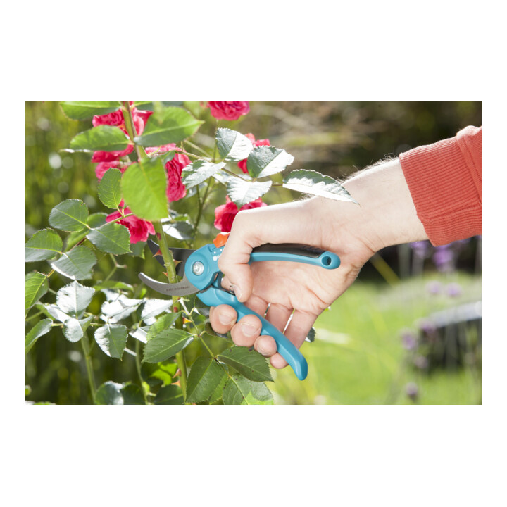 Cisaille de jardin B/S-M GARDENA