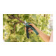 Cisailles de jardin sans fil Bosch EasyPrune-4