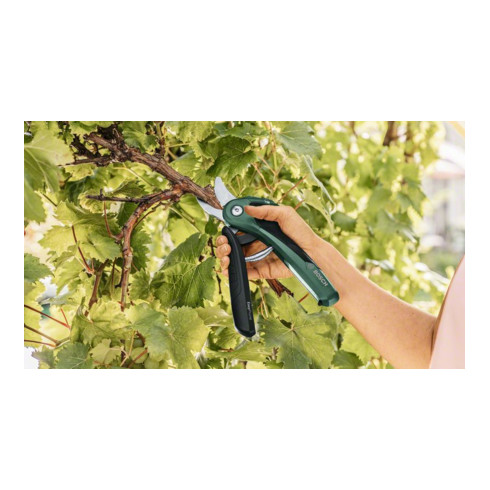 Cisailles de jardin sans fil Bosch EasyPrune