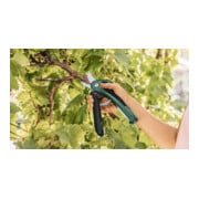 Cisailles de jardin sans fil Bosch EasyPrune-4