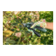 Cisailles de jardin sans fil Bosch EasyPrune-5