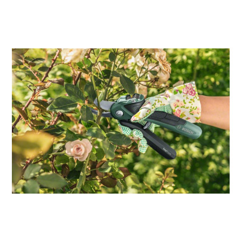 Cisailles de jardin sans fil Bosch EasyPrune
