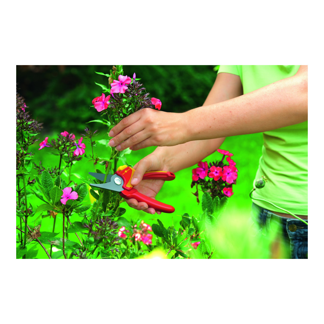 Cisailles de jardin Wolf-Garten Basic Plus RR 1500
