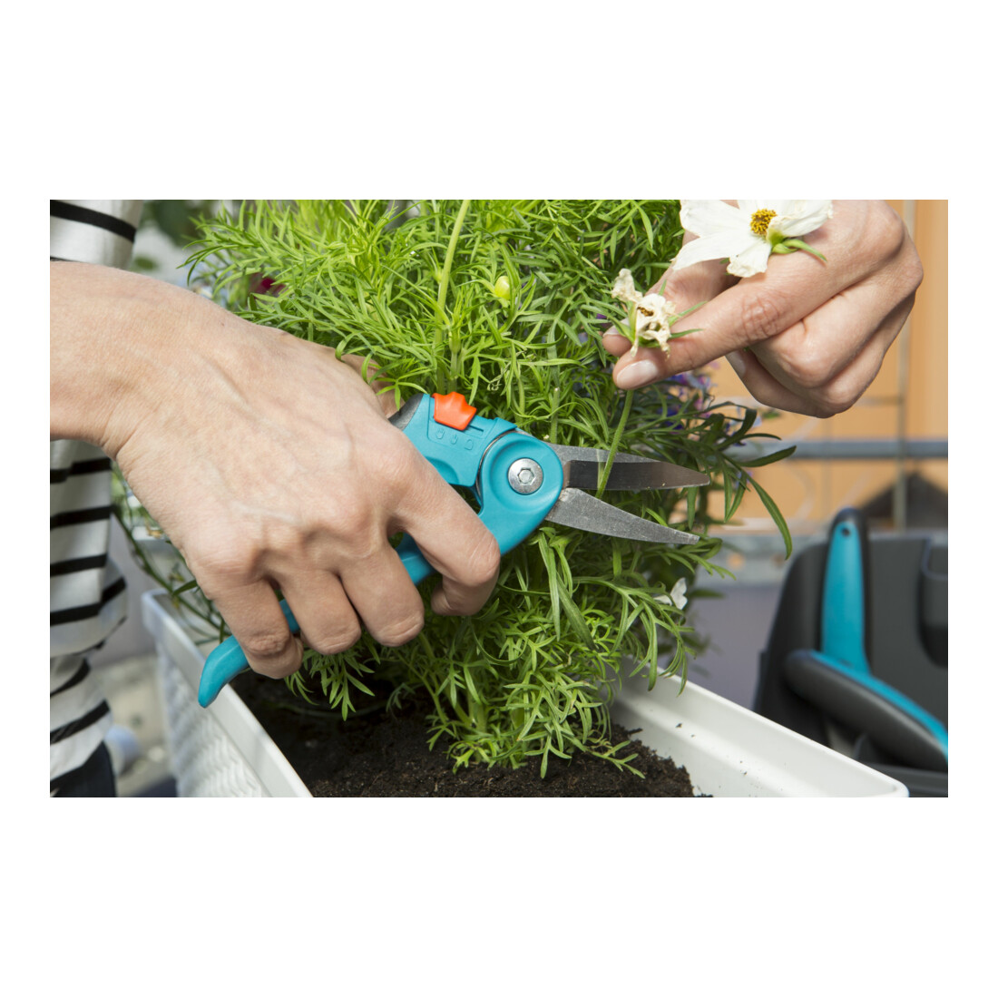 Ciseaux pour balcon city gardening GARDENA